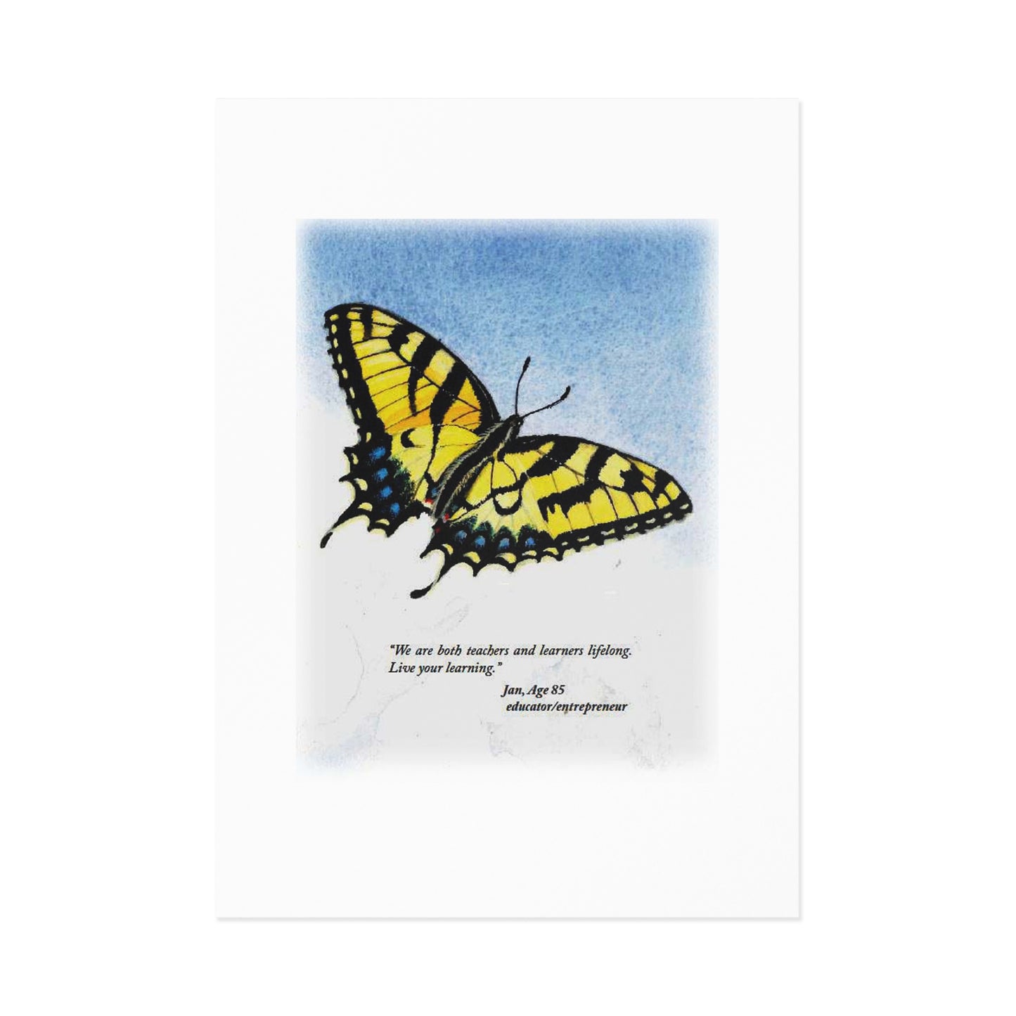 Fine Art Postcards