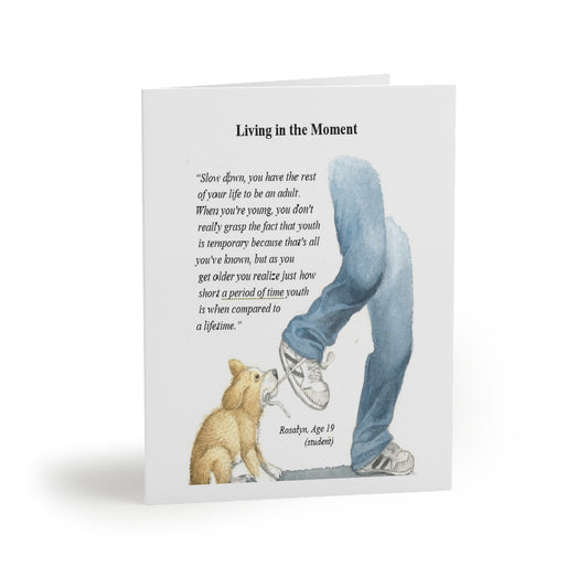 Greeting cards (8, 16, and 24 pcs)